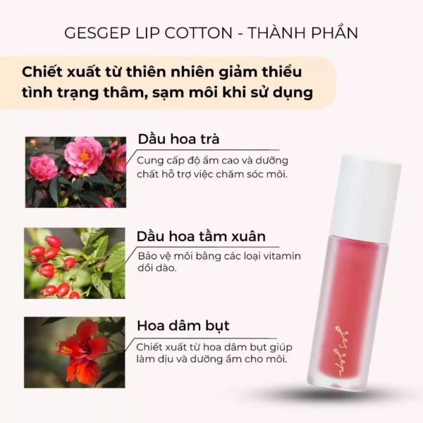 Son Gesgep LIP COTTON